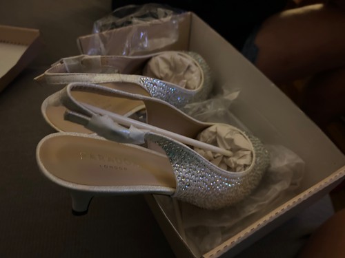 Beautiful glittet kitten - , heel