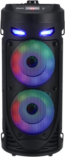Party speaker with microphone - speaker,