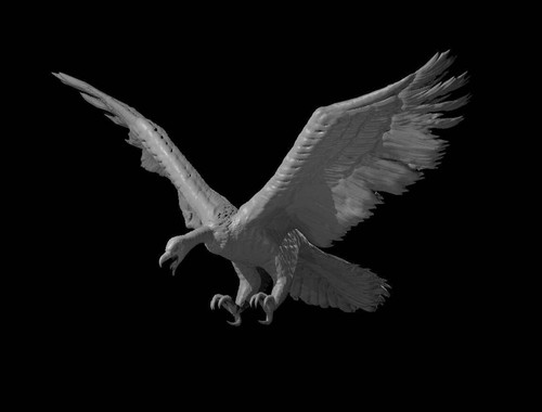 Giant vulture flying for - giant,