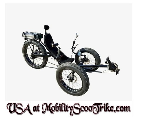 Tadpole fat tire - tadpole,