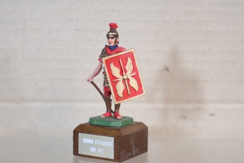 Rose miniatures roman - rose,