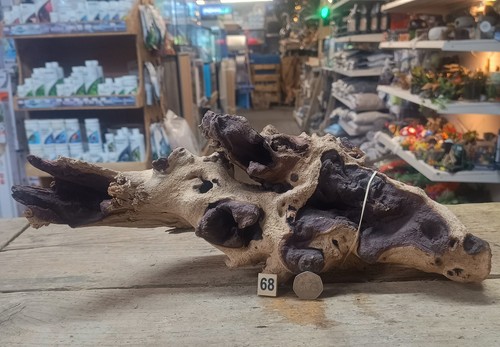 Large 54cm mopani - large, wood