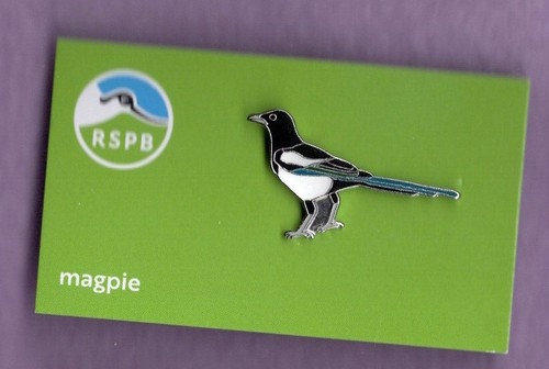 Rspb pin badge magpie - magpie, niic