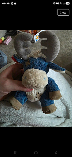 Plush moose soft - moose, toy