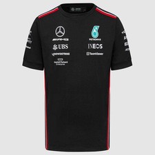 Mercedes AMG Petronas F1 Team