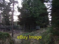 Photo 6x4 Pheasant-rearing pen