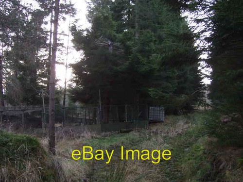 Photo 6x4 pheasant rearing pen - 6x4,