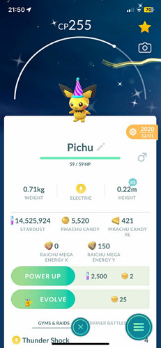 2020 shiny pichu party - 2020, hat