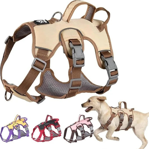 Escape proof dog - proof, no
