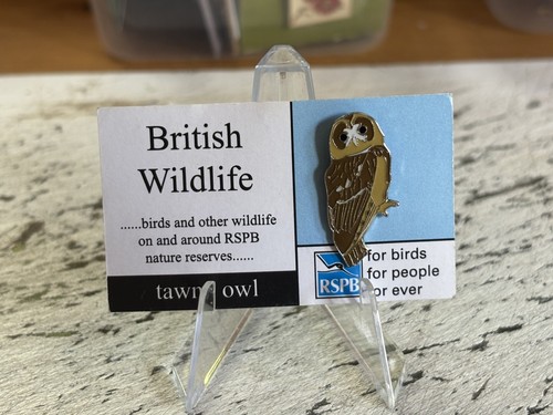Rspb tawny owl british - rspb,
