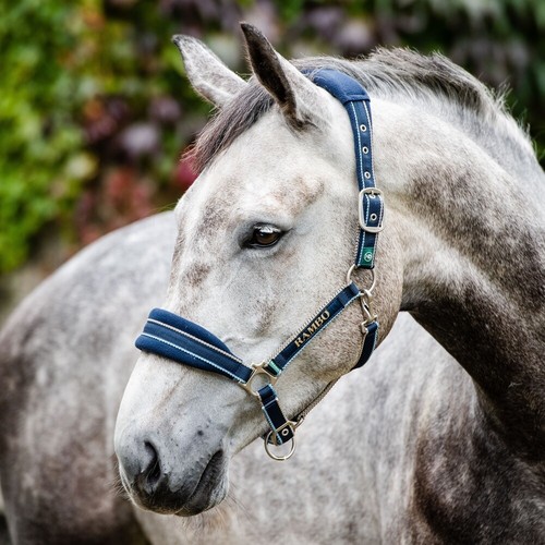 Horseware newmarket headcollar - horseware,