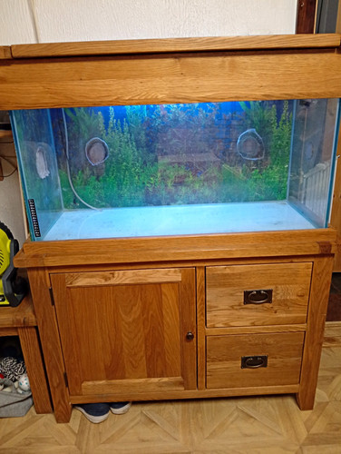 Vivarium tank with oak - tank, unit
