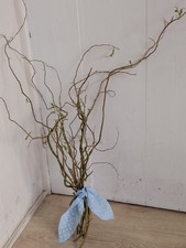 Bunch of Fresh Curly Willow