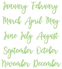 Months year vinyl sticker - 12, year,