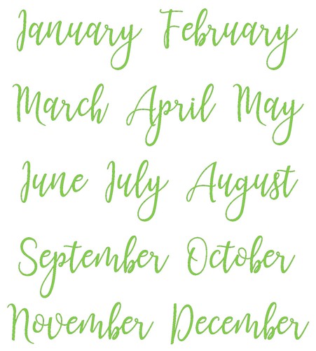 Months year vinyl sticker - months,,