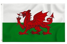 Giant Welsh Flag 8X5FT Wales
