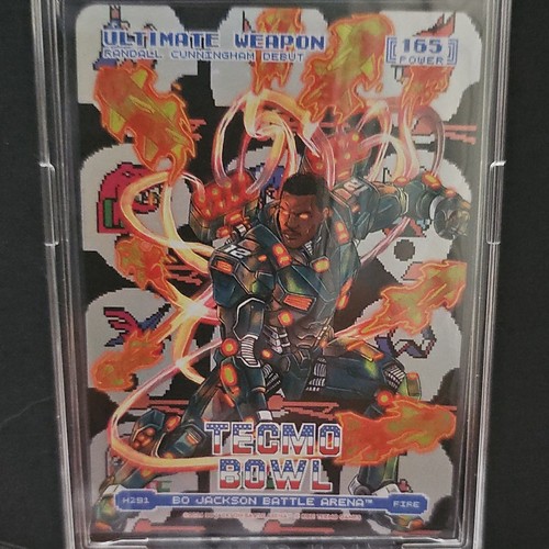 Tecmo bowl battle arena - bowl, bo