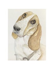 Beagle Dog Portrait Original
