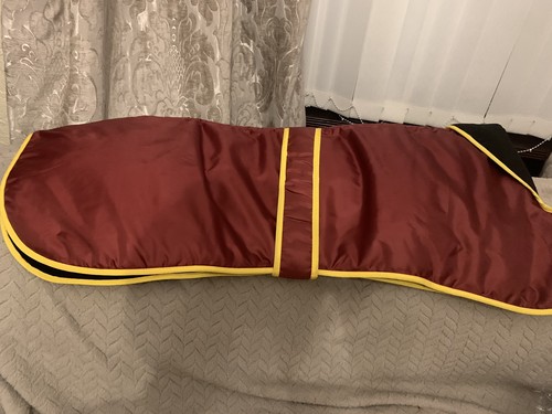 Greyhound waterproof walking - greyhound,