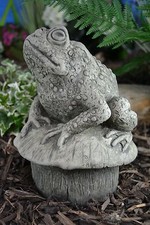 Ardie the toad stone garden - ardie,