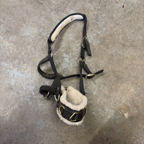 Lunging cavesson full size - lunging,