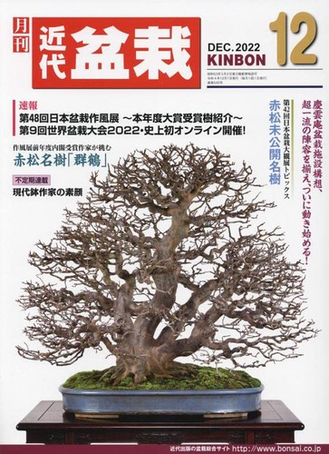 Monthly modern bonsai december - bonsai,
