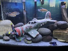 Well Established 87L Marina Vue Fish Tank - With Fish, Fluval 207 Filter & Stand