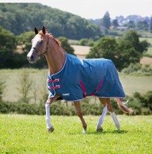 SHIRES TEMPEST original