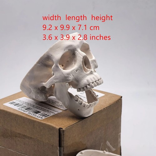 Pvc mini skull - mini,