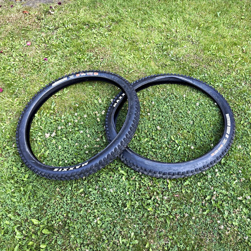 Maxxis assegai 29in - and, minion