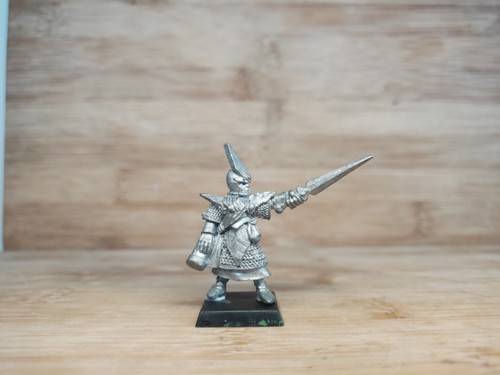 Dark elf command champion - champion, cd