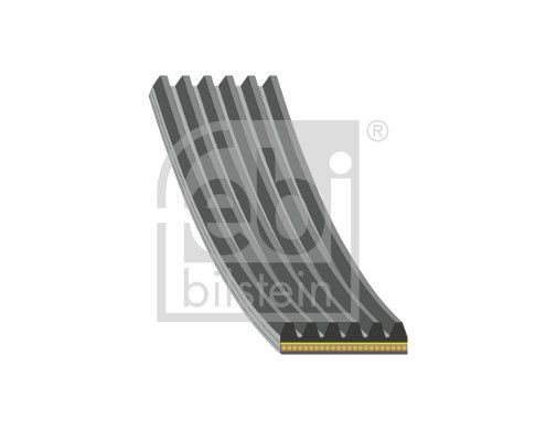 Febi bilstein 184946 - bilstein, v-ribbed