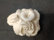 RARE W H Goss Flower Brooch