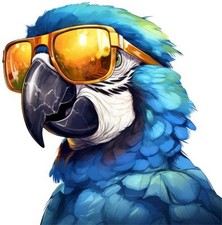Blue gold macaw parrot - gold,