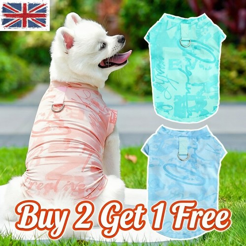 Pet dog cooling - dog,