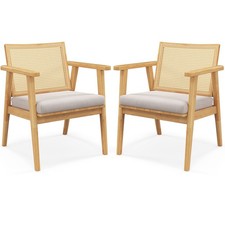 Set of 2 Mid Century Modern