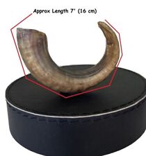 Luxury Long Lasting Dog Treat