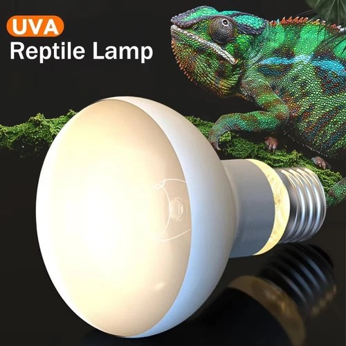 110 220v reptile - reptile, heat