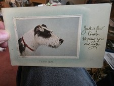 WIRE HAIRED FOX TERRIER, JUST A FEW LINES HOPING YOU ARE WELL. VINTAGE POSTCARD