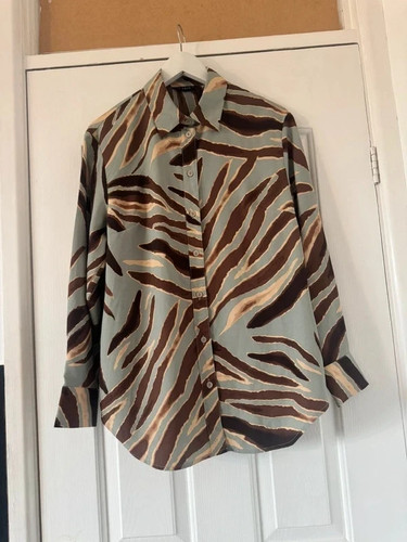 Blue and brown zebra - , print