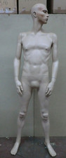 Mannequin Display Dummy Male