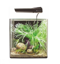 Aqua one nano fish - fish, tank