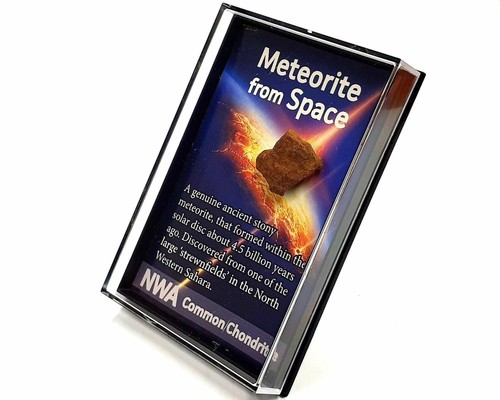 Common chondrite meteorite - ,