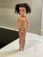 Sindy Doll Basic 
