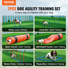 Dog Agility Training Equipment