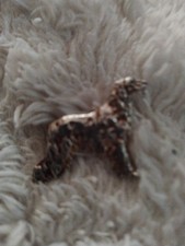 Sterling Silver detailed  Vintage Dog Brooch.