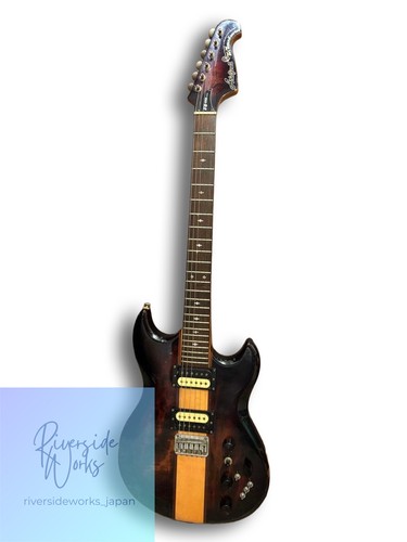 Aria pro 500 electric - ii,