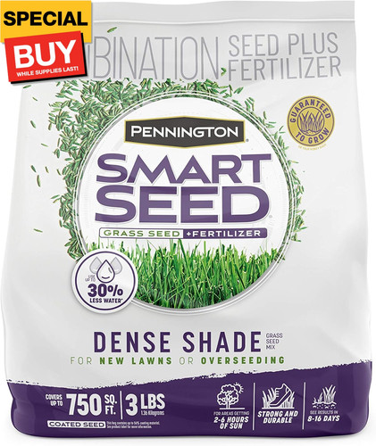Smart seed dense shade grass - seed,