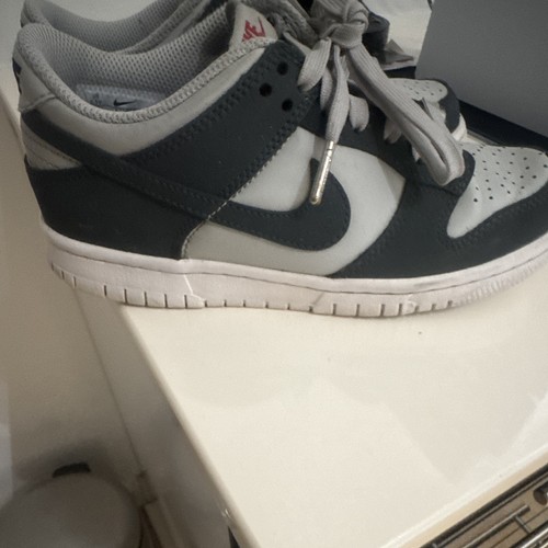 Nike dunk low unisex - nike, kids