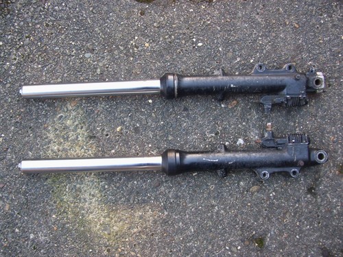 Suzuki kawasaki pair - suzuki/kawasaki?, anti